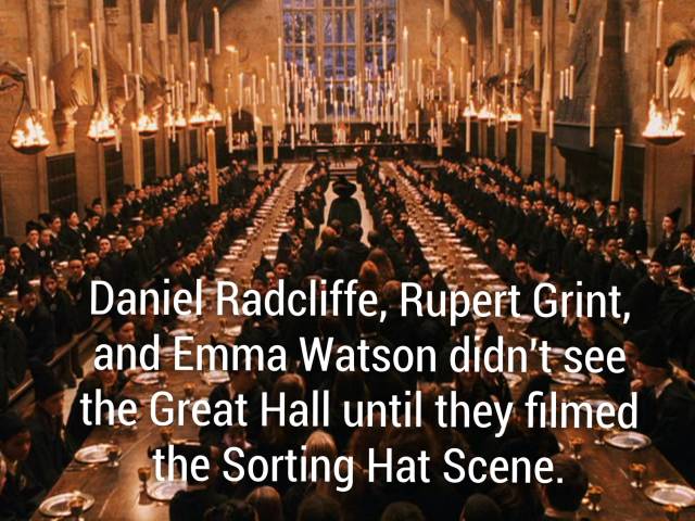 Creators Of The Harry Potter Series Must Have Used Magic (70 pics)