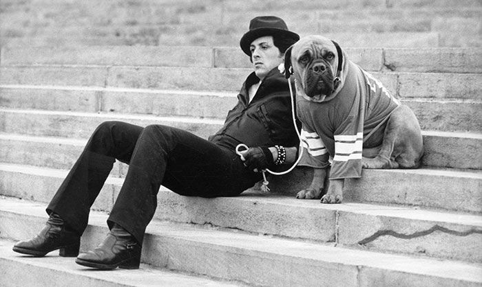 Sylvester Stallone Shares Touching Tribute To His Old Dog (8 pics)