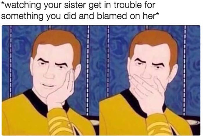 Memes You Should Send To Your Sister Right Away (32 pics)