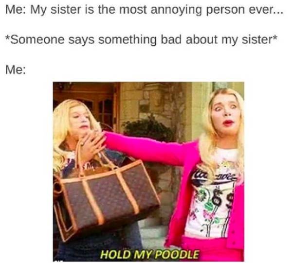 Memes You Should Send To Your Sister Right Away (32 pics)