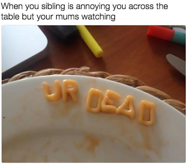 Memes You Should Send To Your Sister Right Away (32 pics)