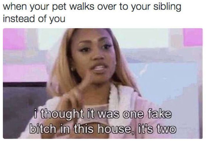 Memes You Should Send To Your Sister Right Away (32 pics)