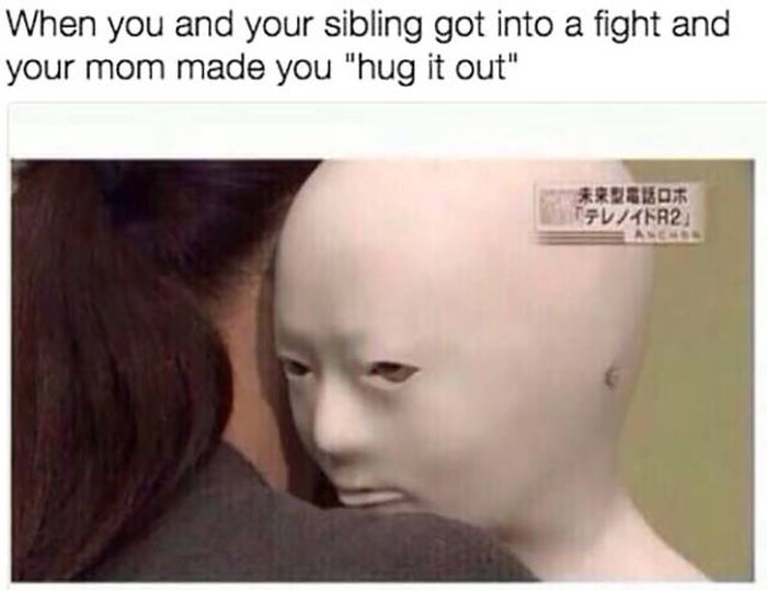 Memes You Should Send To Your Sister Right Away (32 pics)