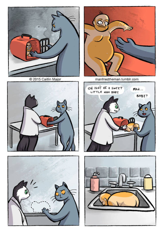 If Humans Swapped Roles With Their Cats (30 pics)