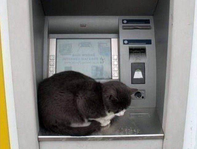 Strange Things Seen At ATMs Around The World (40 pics)