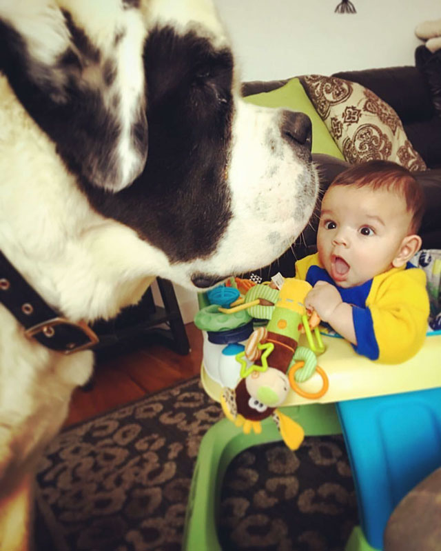 A Few Photos To Remind You How Beautiful This Life Is (20 pics)