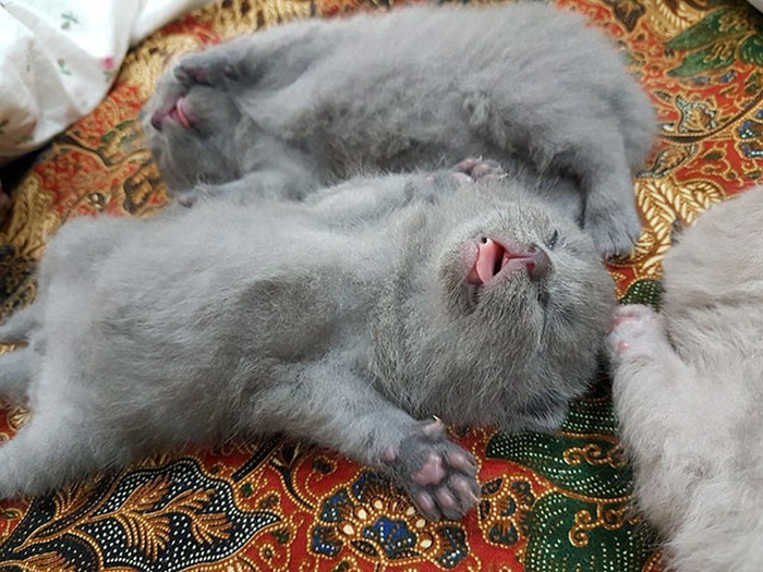 A Few Photos To Remind You How Beautiful This Life Is (20 pics)