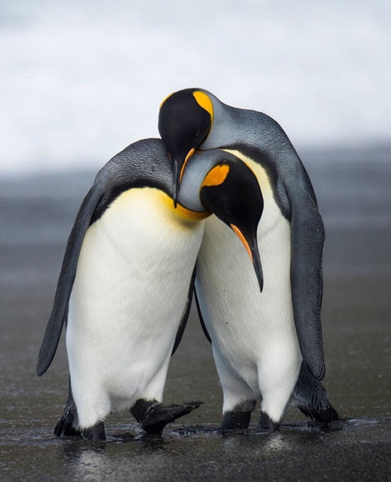 A Few Photos To Remind You How Beautiful This Life Is (20 pics)