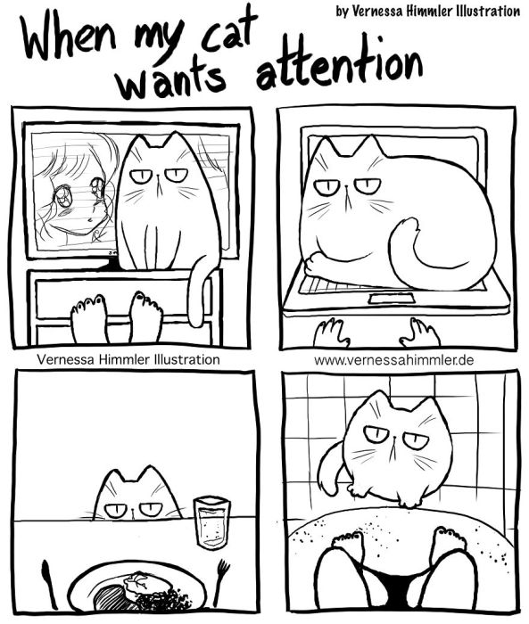 Funny Comics About Life With Two Cheeky Cats (21 pics)