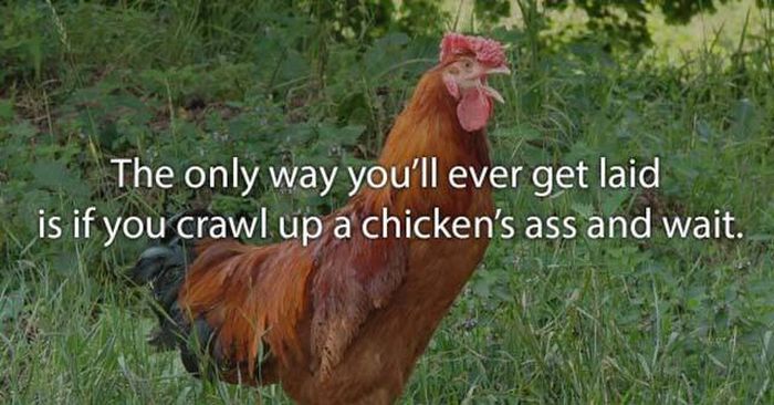 Insults That Are So Brutal They Can't Be Denied (25 pics)