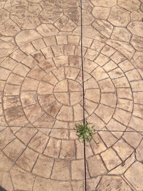 Pics That Will Destroy Your Inner Perfectionist (31 pics)