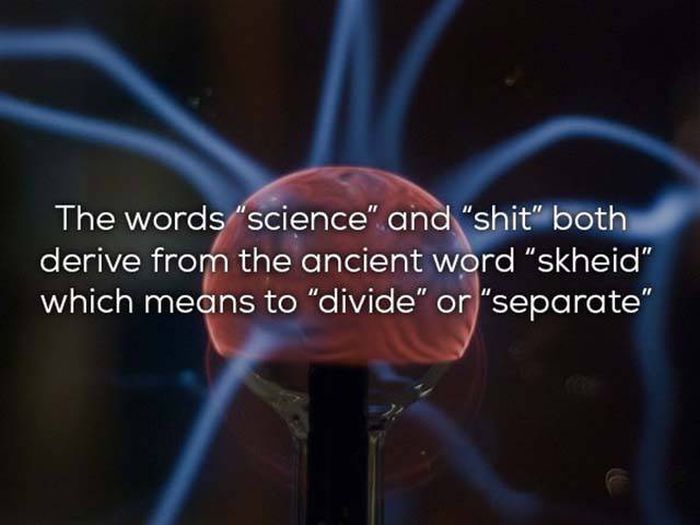 Science Facts That We All Need In Our Lives (25 pics)