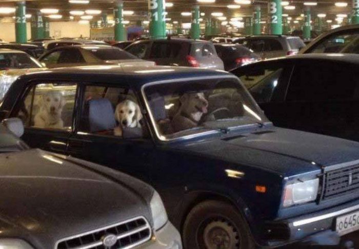 Russia Just Completely Wrecks Everything You Thought Was Normal (38 pics)