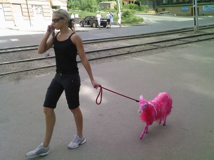 Russia Just Completely Wrecks Everything You Thought Was Normal (38 pics)