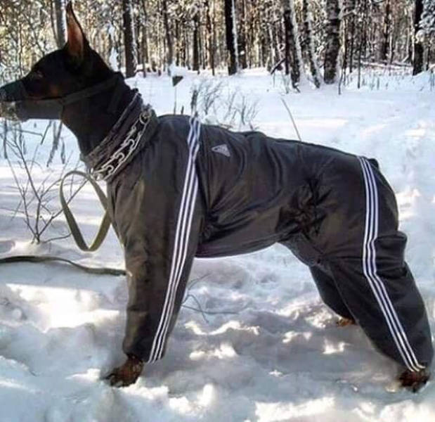 Russia Just Completely Wrecks Everything You Thought Was Normal (38 pics)