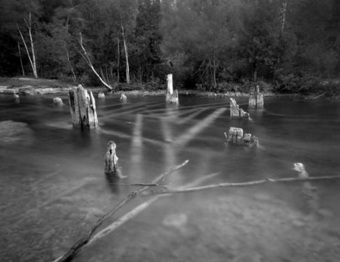 The Best Krappy Kamera Photographs Taken In 2017 (11 pics)