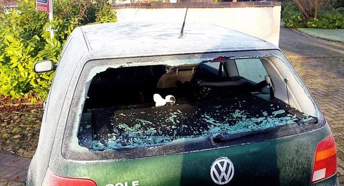 Hooligans Destroy 86 Cars With Crowbars (10 pics)