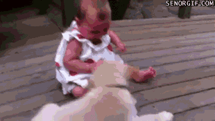 Acid Gifdump, April 13, 2017 (25 gifs)