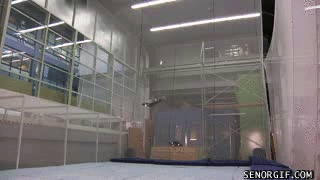 Acid Gifdump, April 13, 2017 (25 gifs)