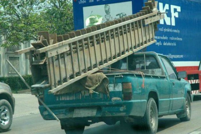 A Bunch Of Idiots Who Forgot To Put Safety First (64 pics)