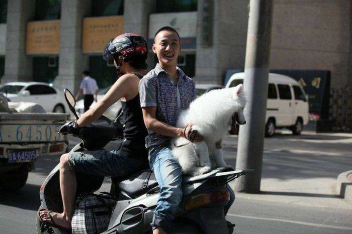 A Bunch Of Idiots Who Forgot To Put Safety First (64 pics)