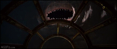 GIFs That Were Combined For Maximum Hilariousness (18 gifs)