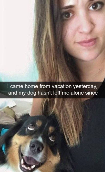 Dogs Are Like Celebrities On Snapchat (50 pics)