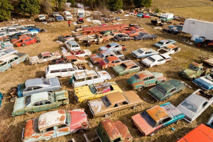 Canadian Sells Farm With A Collection Of 340 Rare Cars (30 pics)