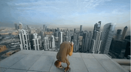 GIFs That Will Remind You Why You Should Be Scared Of Heights (25 gifs)