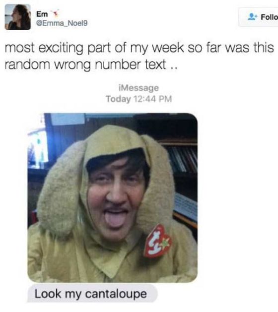Best Wrong Number Texts In The History Of Wrong Number Texts (21 pics)
