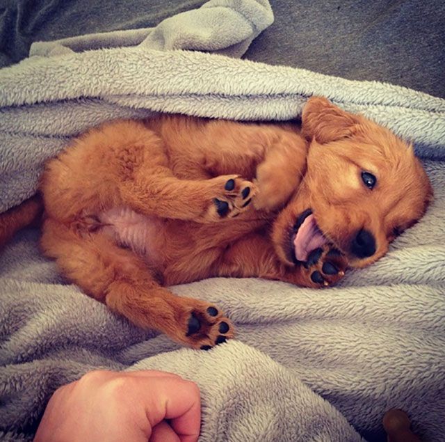 Let These Photos Remind You That Life Is Beautiful (21 pics)