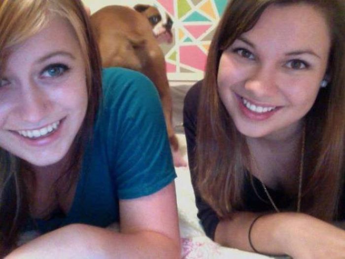 Dogs Are Really Good At Ruining Photos (50 pics)