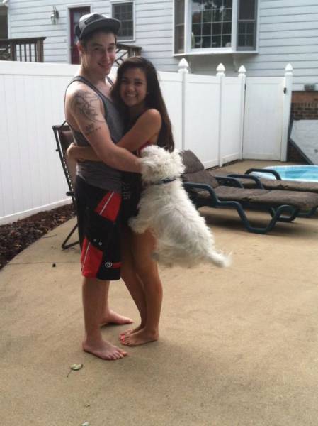 Dogs Are Really Good At Ruining Photos (50 pics)