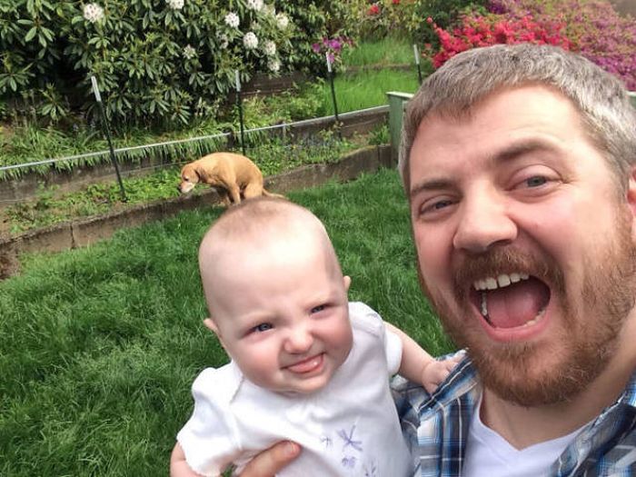 Dogs Are Really Good At Ruining Photos (50 pics)