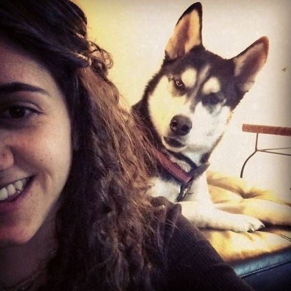 Dogs Are Really Good At Ruining Photos (50 pics)