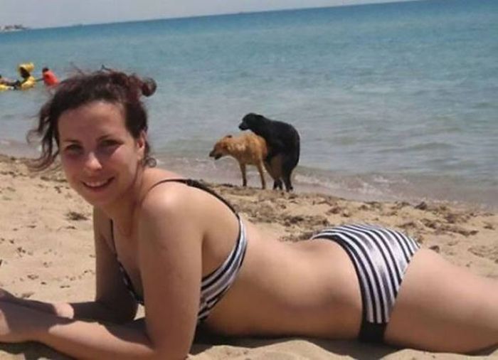 Dogs Are Really Good At Ruining Photos (50 pics)