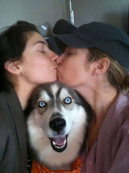 Dogs Are Really Good At Ruining Photos (50 pics)
