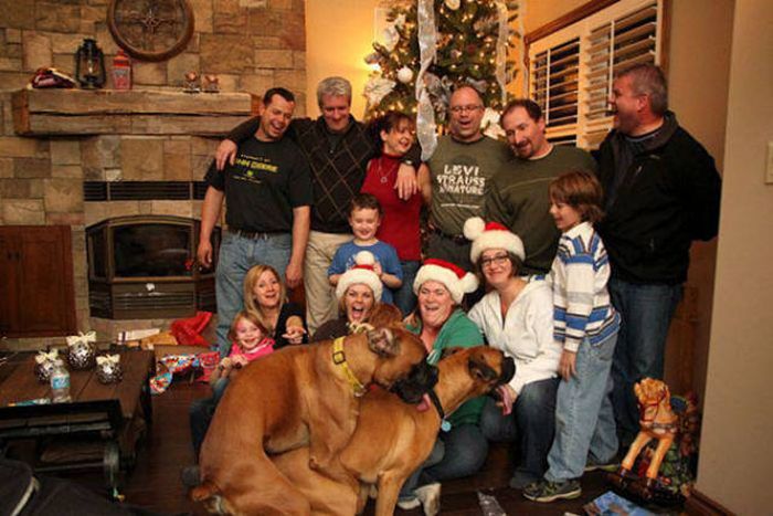 Dogs Are Really Good At Ruining Photos (50 pics)