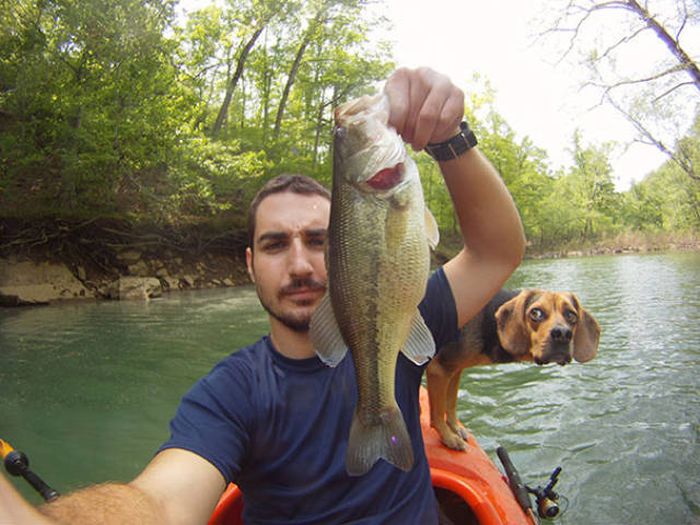 Dogs Are Really Good At Ruining Photos (50 pics)