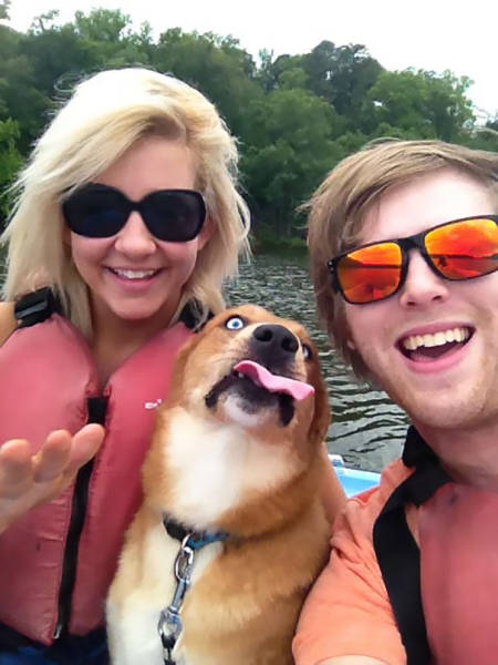 Dogs Are Really Good At Ruining Photos (50 pics)