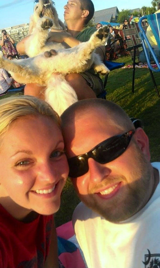 Dogs Are Really Good At Ruining Photos (50 pics)