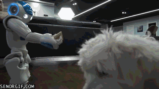 Acid Gifdump, April 19, 2017 (25 gifs)