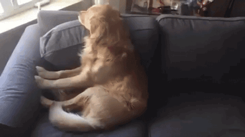 Reaction Gifs That All Of Us Can Relate To (17 gifs)