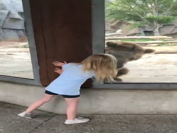 Bear Plays Peekaboo With Little Girl