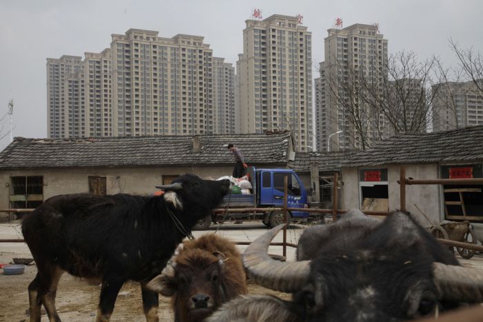 Interesting Photos Show Everyday Life In China (35 pics)