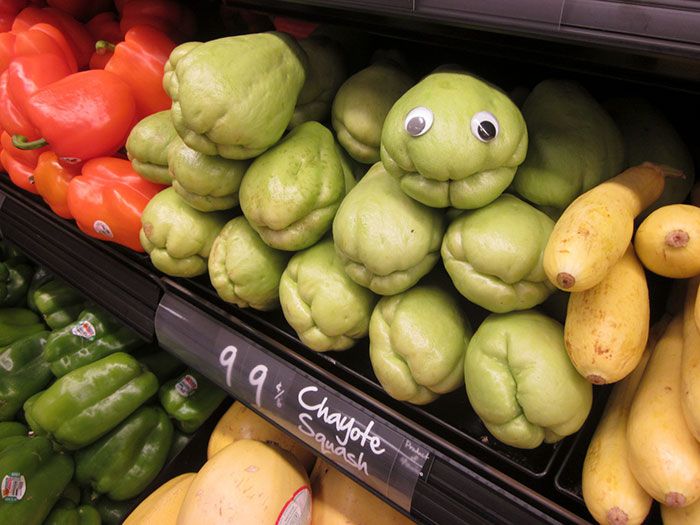 Pics That Prove Googly Eyes Make Everything Funnier (38 pics)