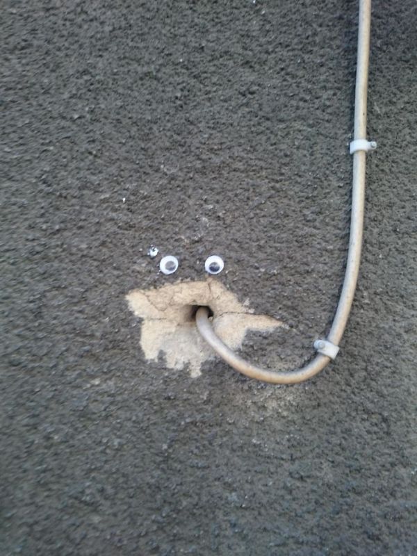 Pics That Prove Googly Eyes Make Everything Funnier (38 pics)