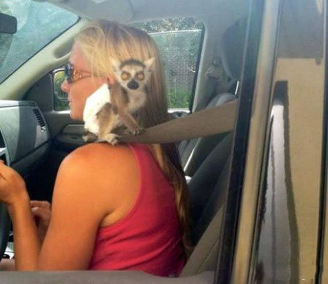 You Should Be Very Afraid When Girls Get Behind The Wheel (44 pics)