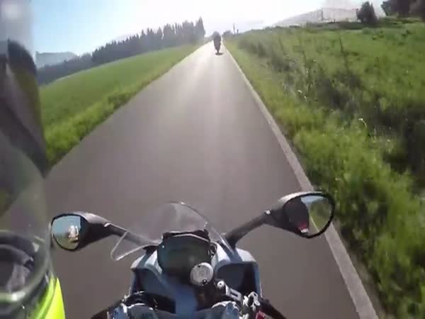 Biker Can't Handle Sharp Curve And Pays The Price