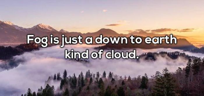 Sometimes Shower Thoughts Change How We See Things (39 pics)